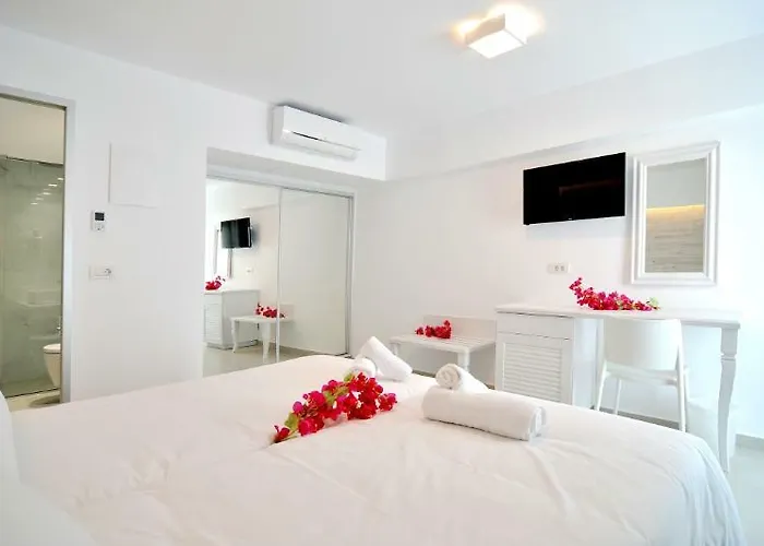 Apollon Windmill Boutique - Adults Only Kos